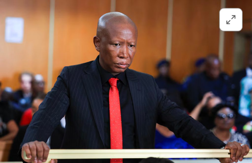 South African populist leader Malema sentenced to five years in prison over riffle discharge
