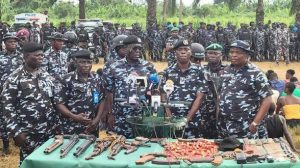 Tinubu sets up law drafting panel on State Police implementation