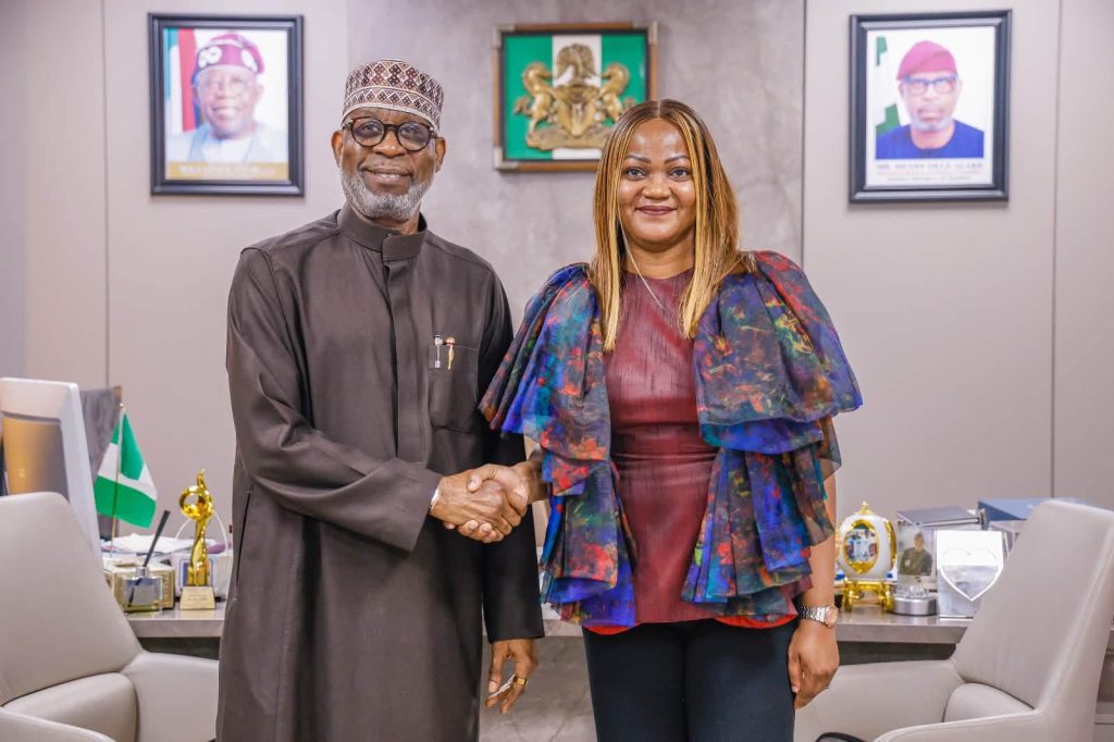 Minister Alake declares digital identity system will support mining reforms