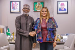 Minister Alake declares digital identity system will support mining reforms