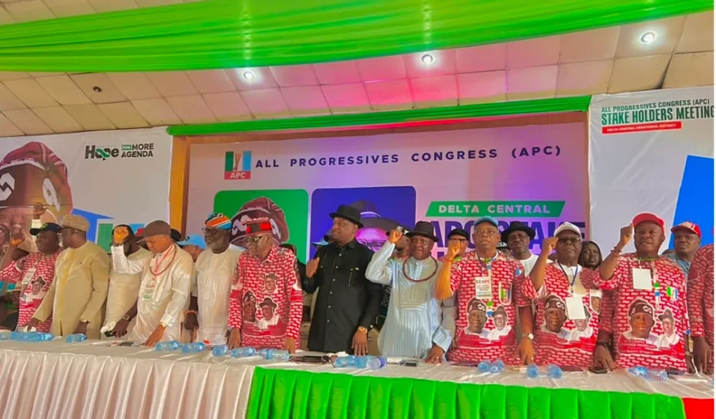 2027: Delta central APC unites behind Tinubu