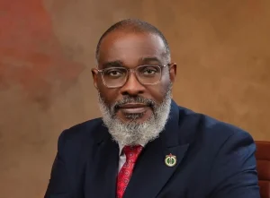 Tinubu’s Homeland Security Adviser Famadewa unveils four priority reforms