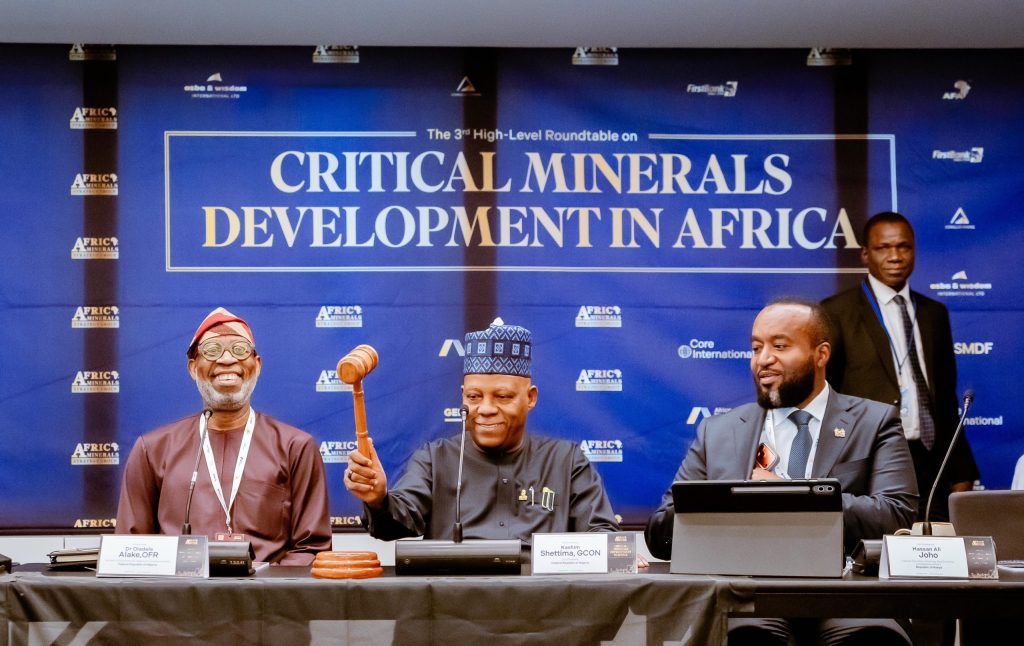 Tinubu urges African partnership to capture more value from critical minerals