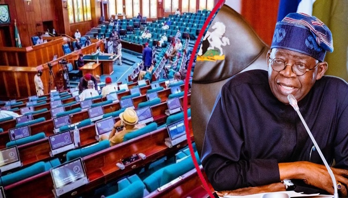 Tinubu urges Reps to pass NDDC 2026 statutory budget