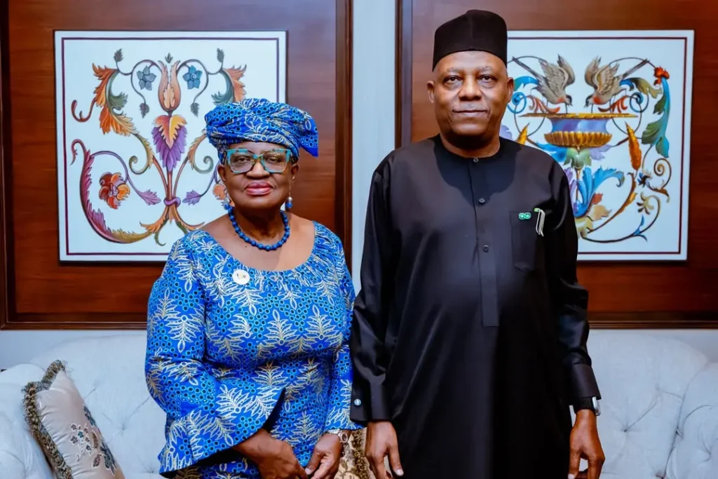 Shettima pledges Nigeria’s continued backing for WTO, urges multilateralism at BRICS Summit