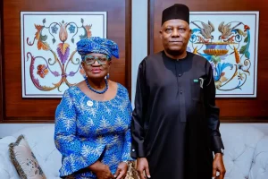 Shettima pledges Nigeria’s continued backing for WTO, urges multilateralism at BRICS Summit