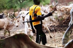 11 dead as security forces repel herders’ assault in Benue