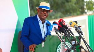 2027: Rainbow Coalition mobilising for Tinubu’s re-election, not for APC – Minister Wike